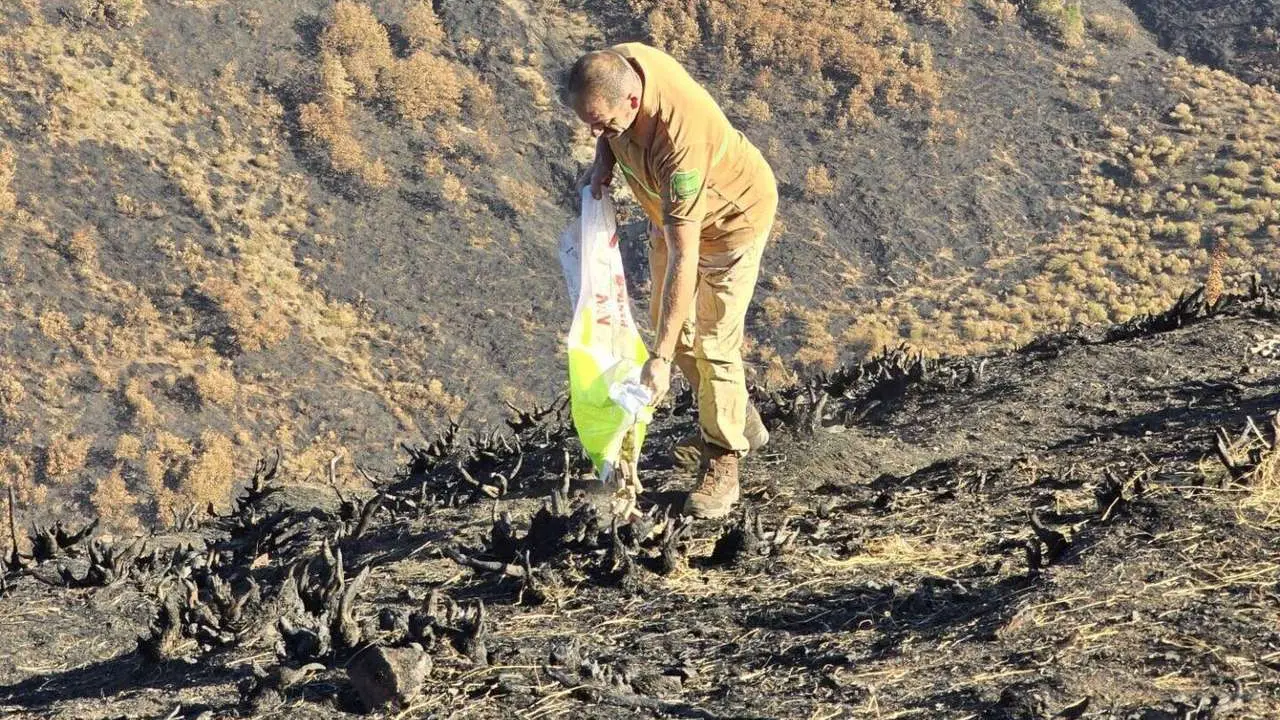 Imagen de archivo de celadores de Medio Ambiente en la Reserva Regional de Caza de Ria&ntilde;o depositan alimento para la fauna silvestre en terrenos incendiados. | ICAL