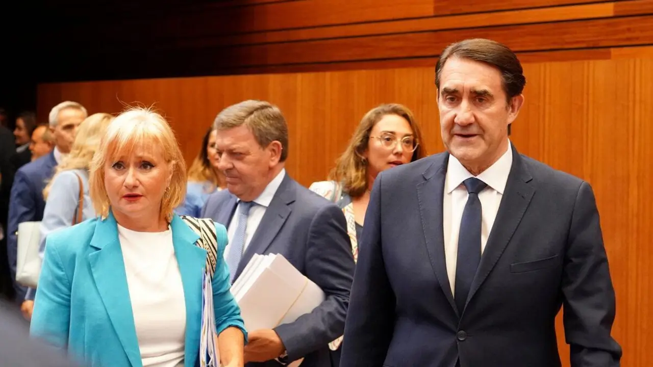 El consejero leon&eacute;s Su&aacute;rez-Qui&ntilde;ones, en el pleno de las Cortes de Castilla y Le&oacute;n. | ICAL