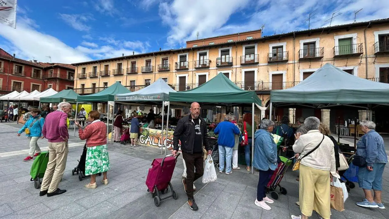 El mercado de productos alimentarios de los mi&eacute;rcoles y s&aacute;bados por la ma&ntilde;ana regresar&aacute; la pr&oacute;xima semana a la Plaza Mayor.