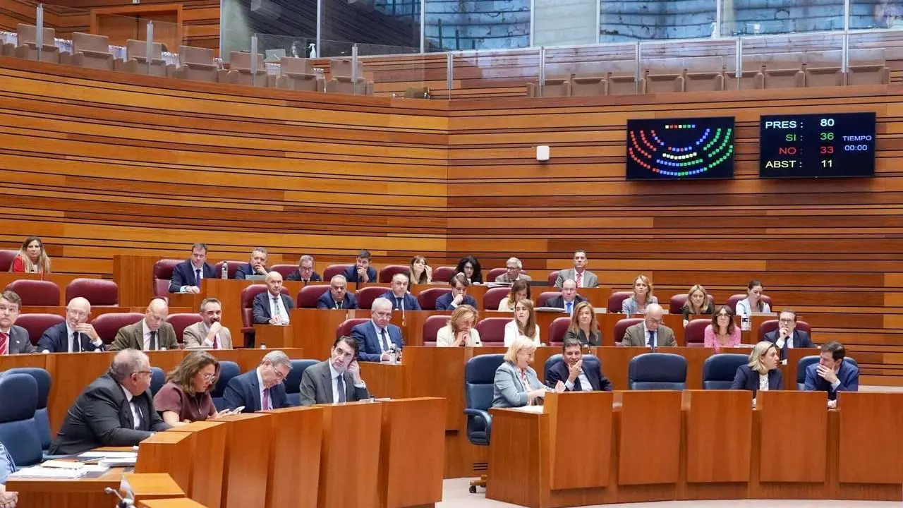 Segunda jornada de la primera sesi&oacute;n plenaria del curso en las Cortes de Castilla y Le&oacute;n. ICAL. 