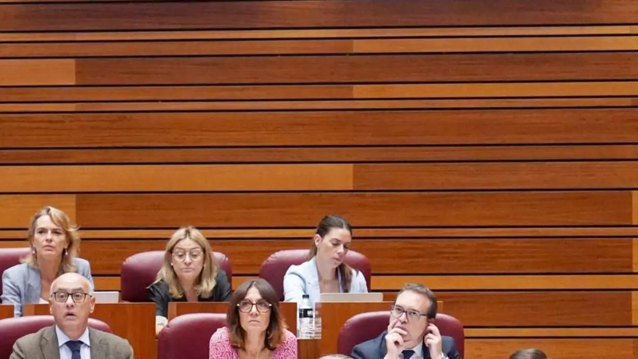Segunda jornada de la primera sesi&oacute;n plenaria del curso en las Cortes de Castilla y Le&oacute;n. ICAL. 
