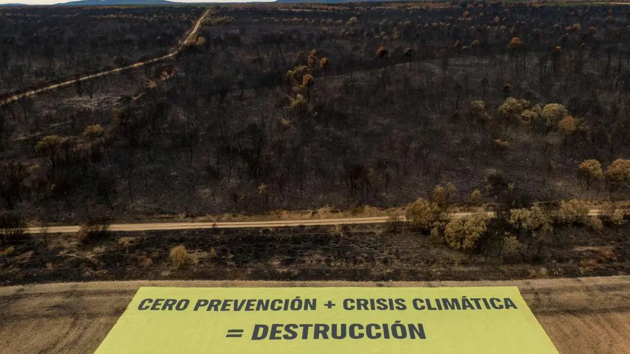 Greenpeace despleg&oacute; una pancarta gigante en Palacios de Jamuz. Pablo Blazquez / Greenpeace