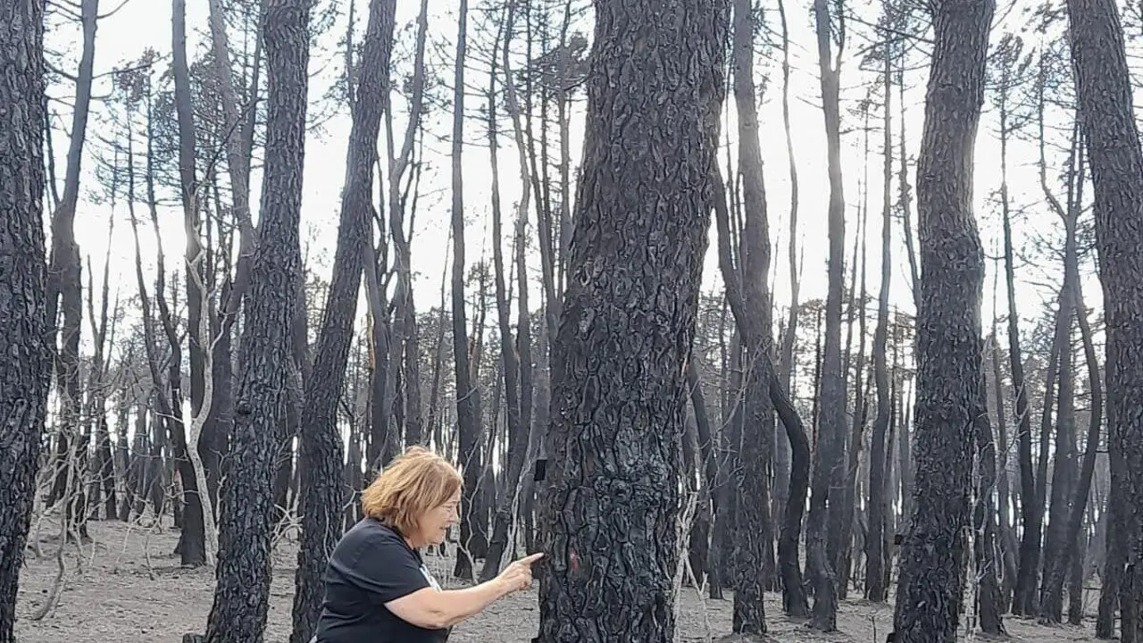 La catedr&aacute;tica de Ecolog&iacute;a de la ULE Elena Marcos en la zona quemada por el incendio de Castrocalb&oacute;n.&nbsp;| ULE