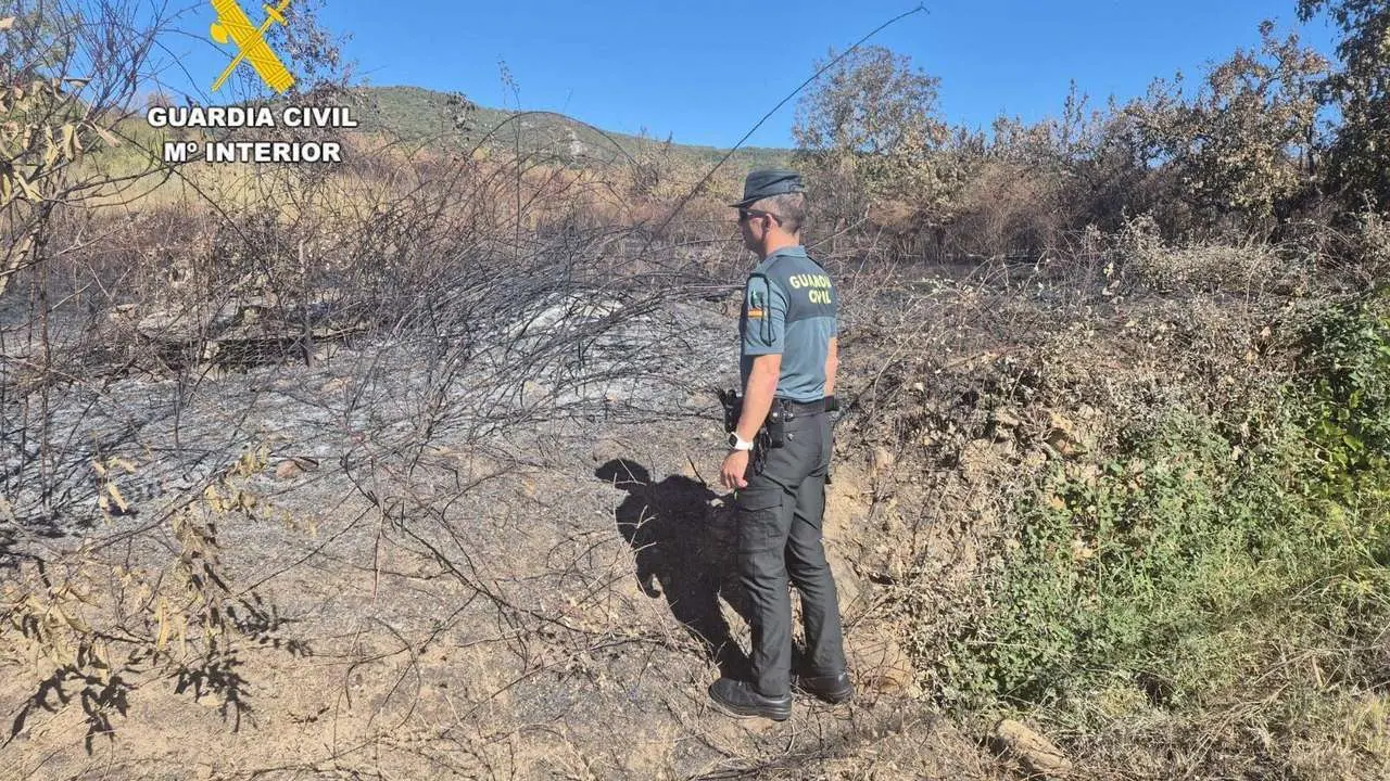 El incendio de San Juan de Paluezas, en Borrenes, se produjo el pasado s&aacute;bado en cuatro puntos diferentes, seg&uacute;n la Guardia Civil.