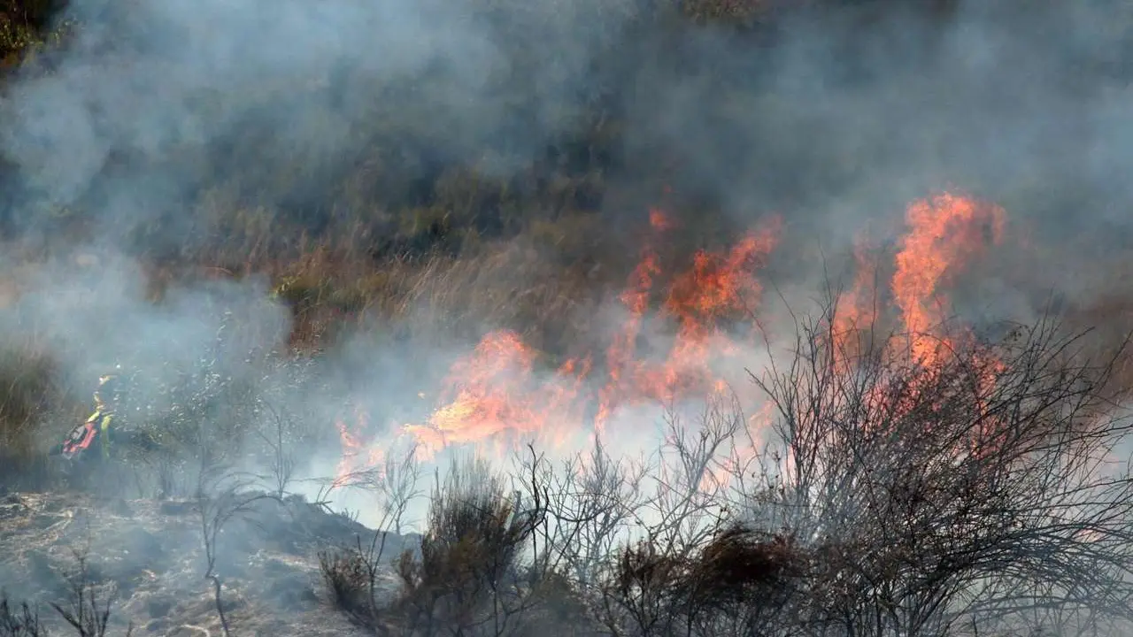 Una veintena de medios trabajan para intentar sofocar el incendio declarado en las cercan&iacute;as de Villasinta de Tor&iacute;o, en el municipio de Villaquilambre (Le&oacute;n). Ical
