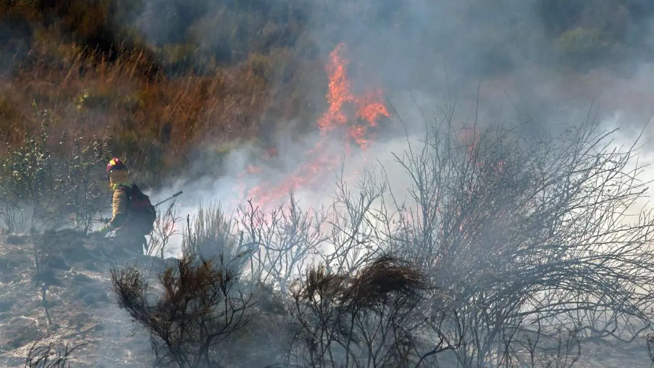 Una veintena de medios trabajan para intentar sofocar el incendio declarado en las cercan&iacute;as de Villasinta de Tor&iacute;o, en el municipio de Villaquilambre (Le&oacute;n). Ical