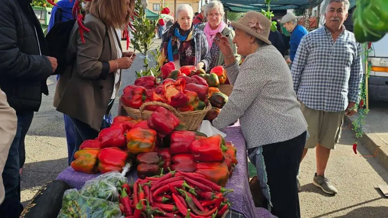 Ambiente en la 40&ordf; Feria del Pimiento Morr&oacute;n de Fresno de la Vega, donde los pimientos y la gastronom&iacute;a fueron protagonistas.