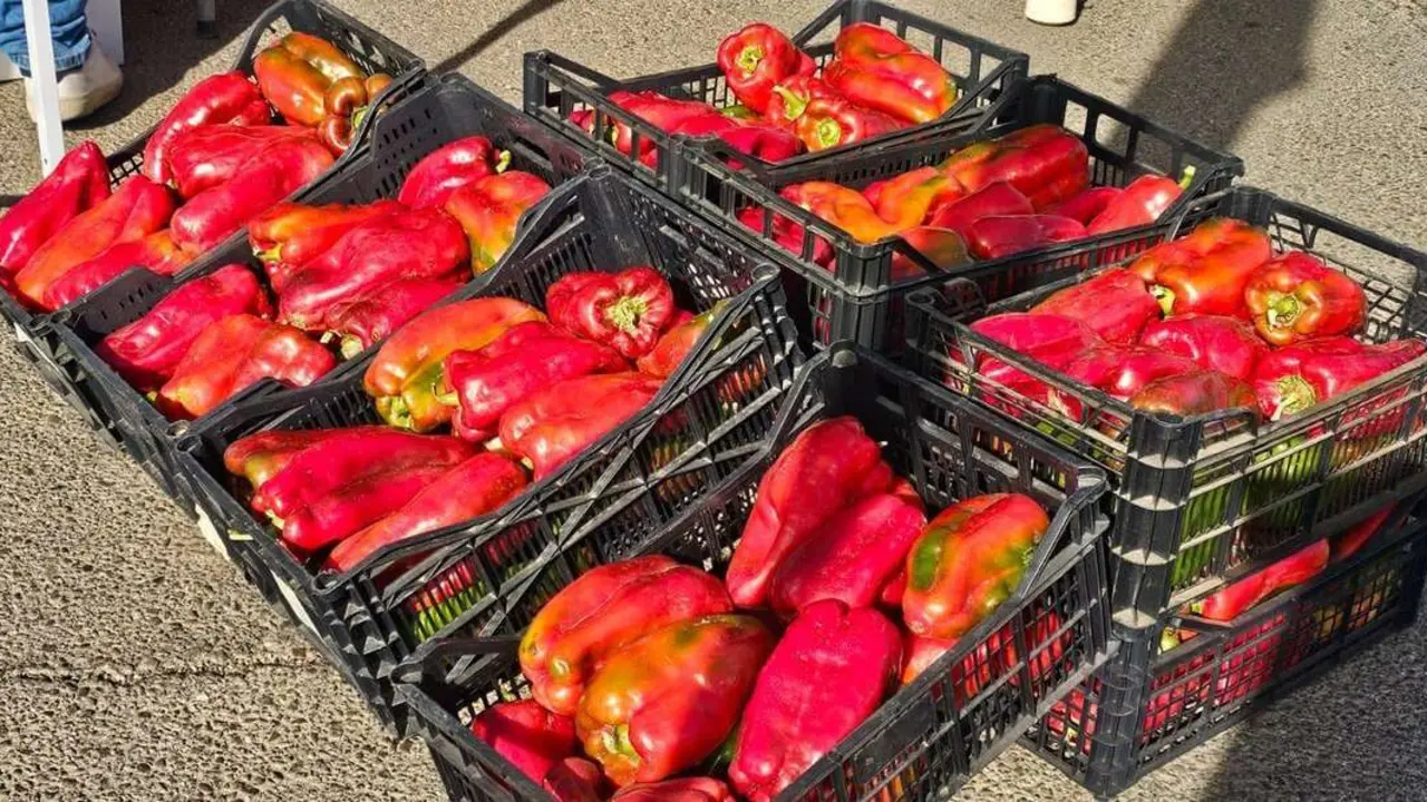 La Feria del Pimiento Morr&oacute;n de Fresno de la Vega, una cita anual imprescindible.