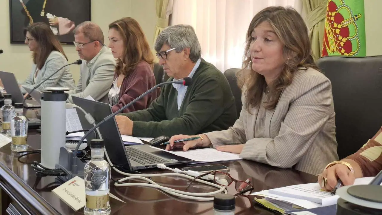 Consejo de Gobierno de la Universidad de Le&oacute;n.