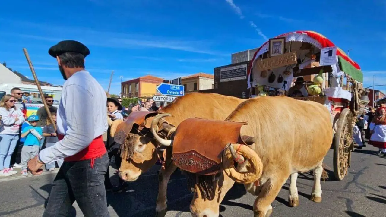 Carros, pendones y emoci&oacute;n en la gran Romer&iacute;a de San Froil&aacute;n 2025