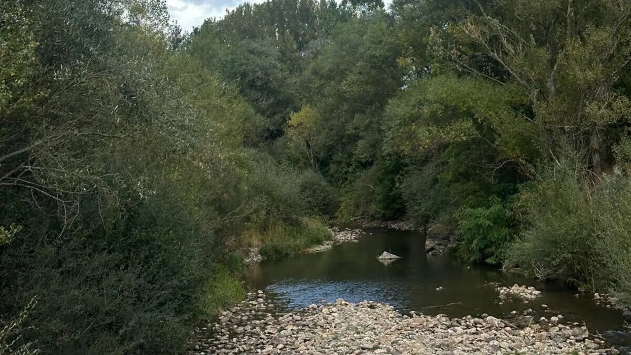 Imagen de archivo del r&iacute;o Tor&iacute;o. | SM