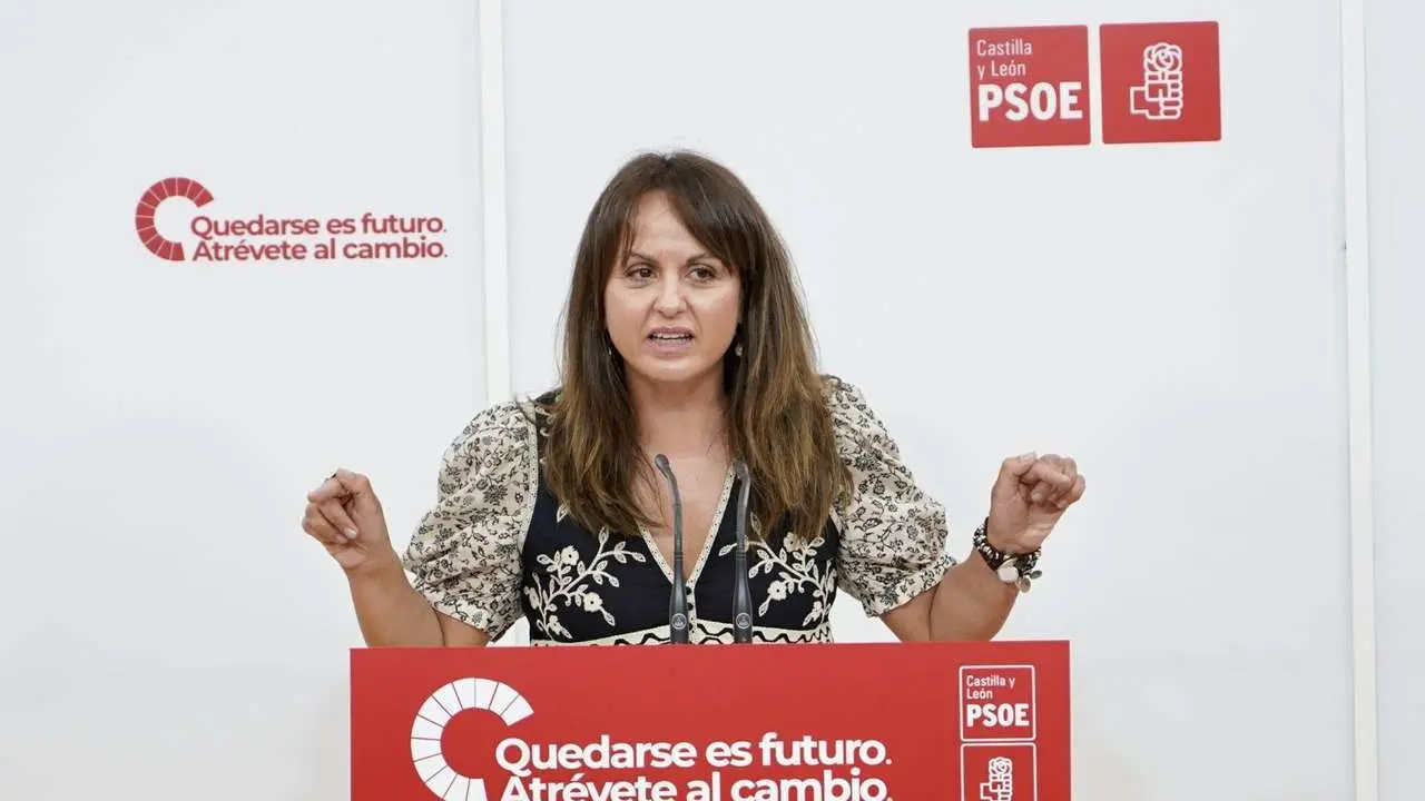 La portavoz socialista en las Cortes, Patricia G&oacute;mez, analiza diversos asuntos de actualidad de Castilla y Le&oacute;n. ICal