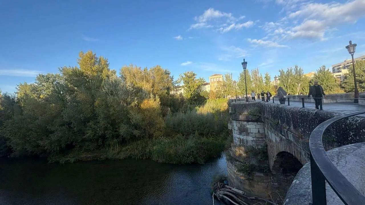 Le&oacute;n24horas