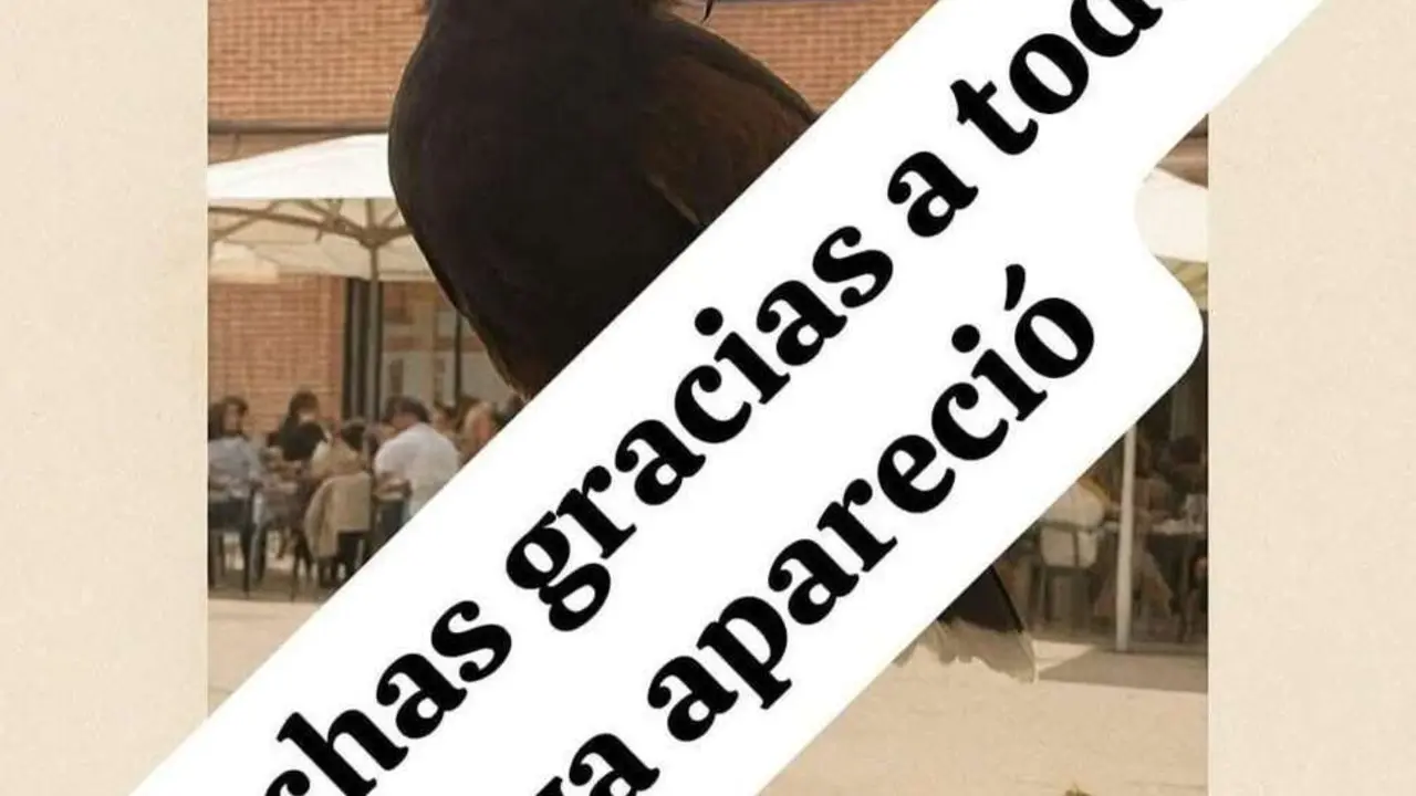 Cartel difundido por la familia anunciando que Tara apareci&oacute;.