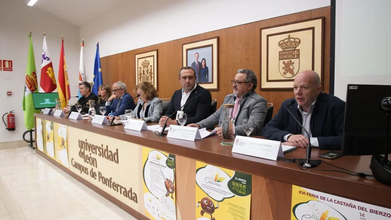 La Mesa del Casta&ntilde;o defiende que Biocastanea 2025 debe ser un escaparate para que el sector "resurja de las cenizas". | ICAL
