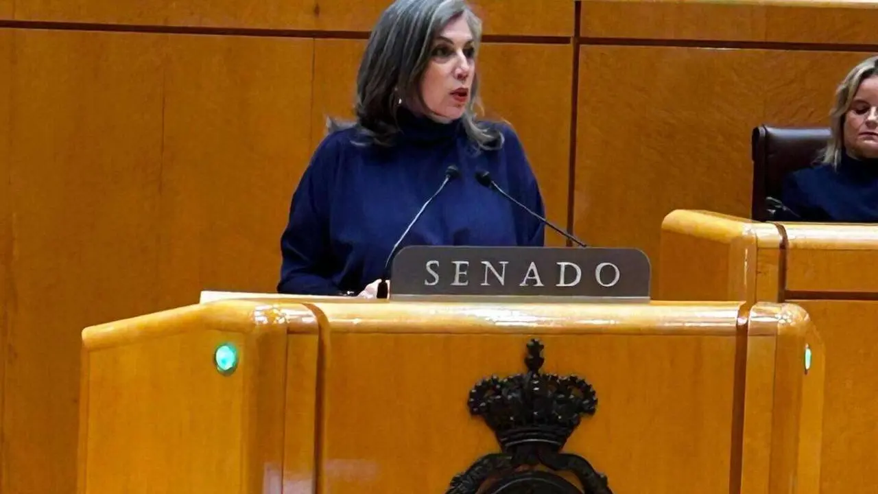 La senadora por Le&oacute;n Asunci&oacute;n Mayo (PP).