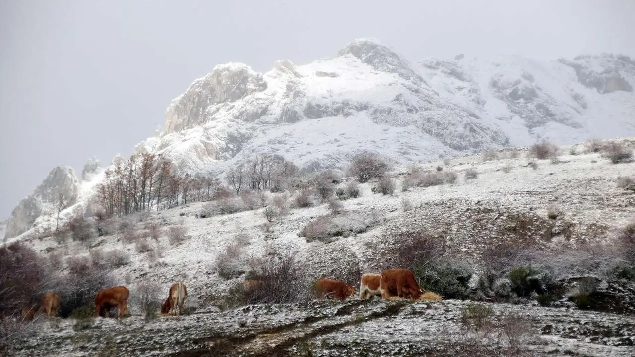 La primera nevada de la temporada lleg&oacute; a las cumbres de la vertiente leonesa de la Cornisa Cant&aacute;brica. | PEIO GARC&Iacute;A / ICAL