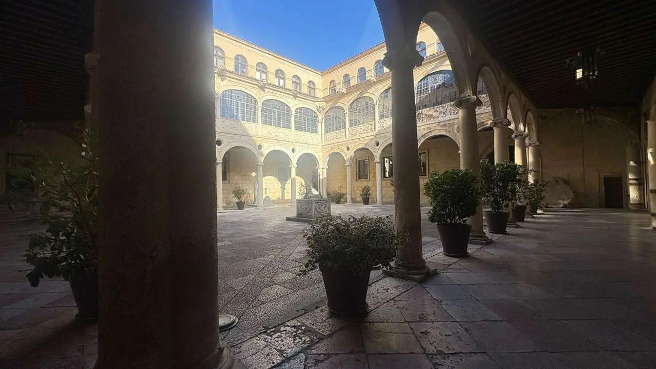 Palacio de los Guzmanes, sede de la Diputaci&oacute;n de Le&oacute;n. | LE&Oacute;N24HORAS