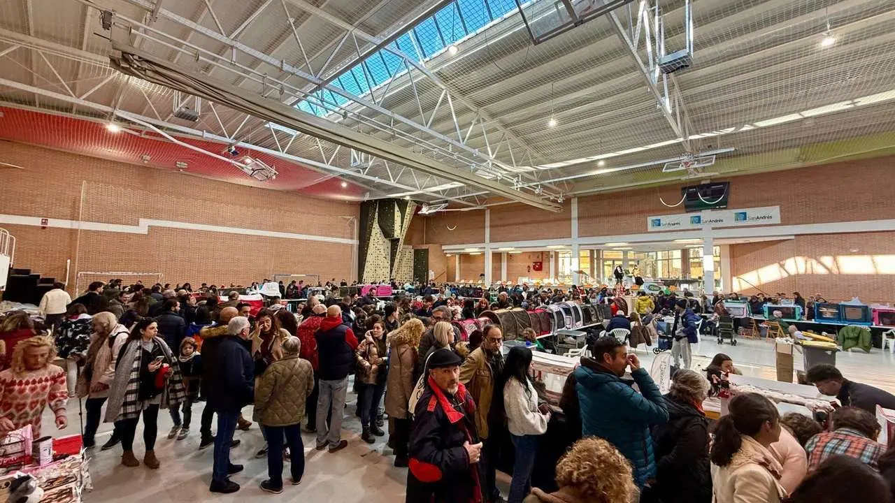 Exposici&oacute;n Felina Internacional. Ayuntamiento de San Andr&eacute;s del Rabanedo.