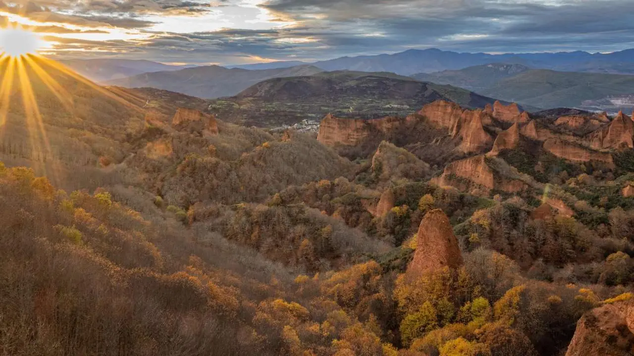 Renacer. Las M&eacute;dulas. | HERMINIA P&Eacute;REZ