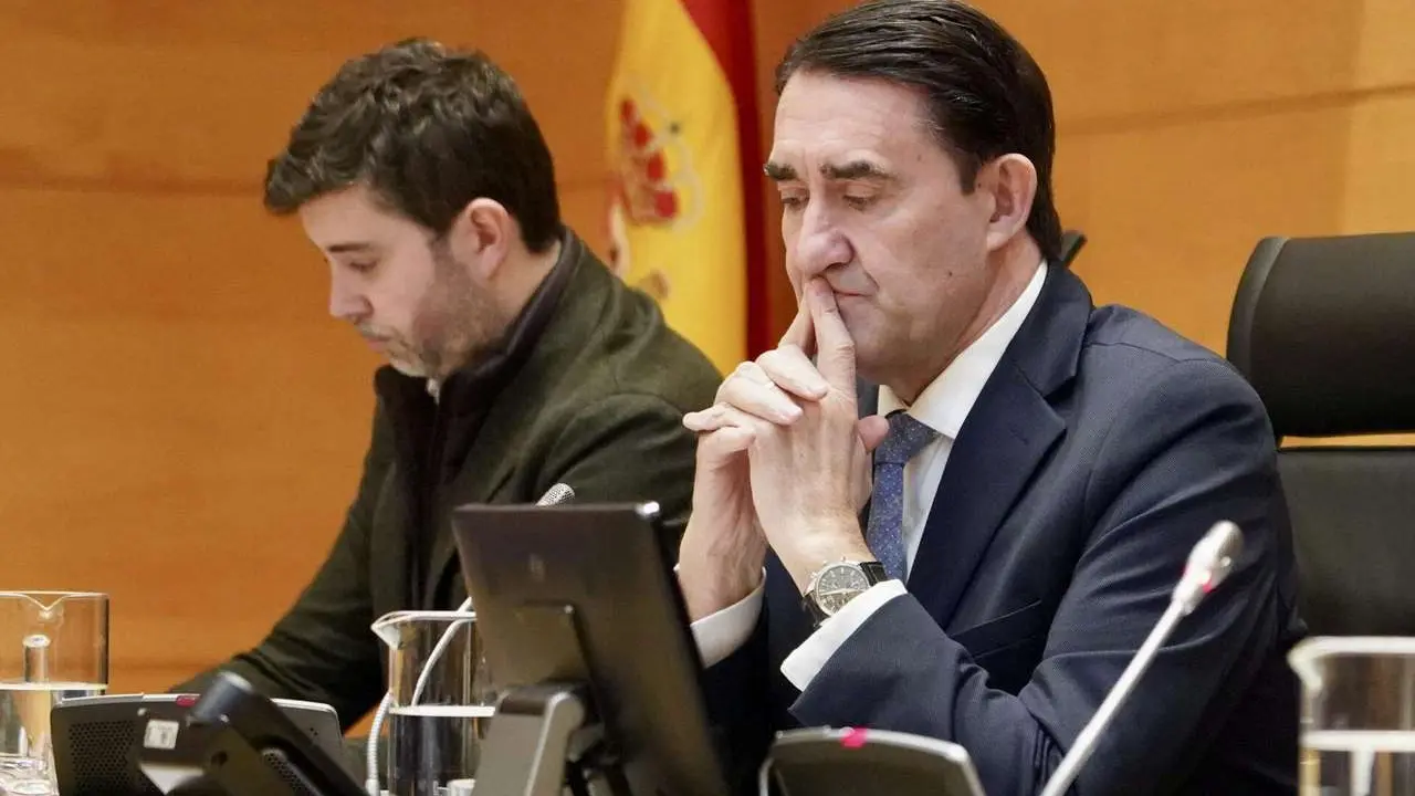 Juan Carlos Su&aacute;rez-Qui&ntilde;ones, este mi&eacute;rcoles en las Cortes. | ICAL