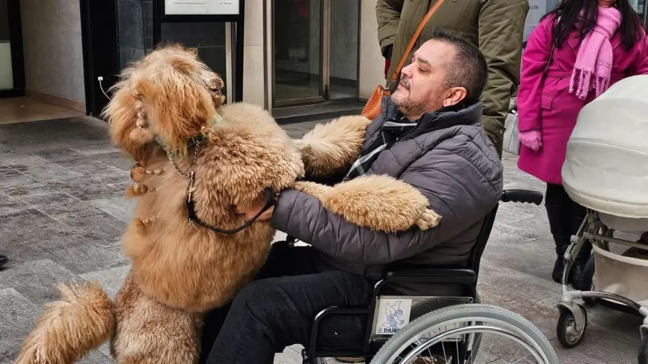 Bendici&oacute;n de mascotas por San Ant&oacute;n en el entorno de San Marcelo, este domingo en el centro de Le&oacute;n. Foto: Le&oacute;n 24 Horas
