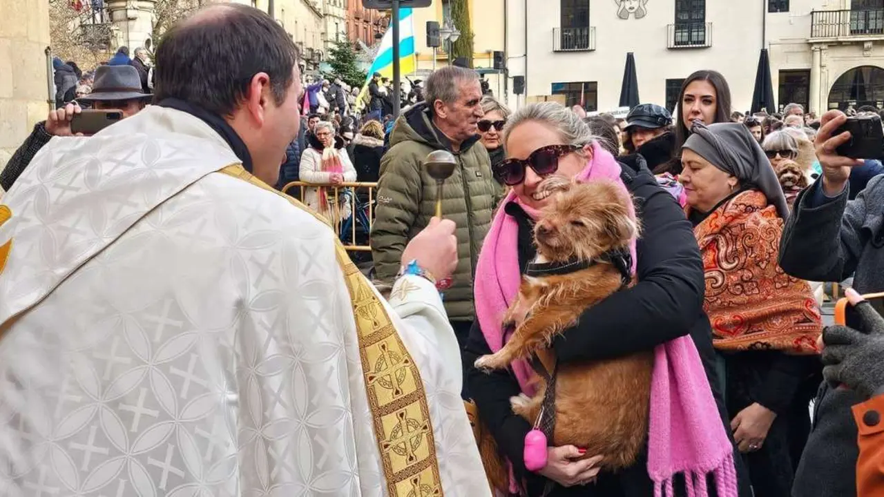 Bendici&oacute;n de mascotas por San Ant&oacute;n en el entorno de San Marcelo, este domingo en el centro de Le&oacute;n. Foto: Le&oacute;n 24 Horas