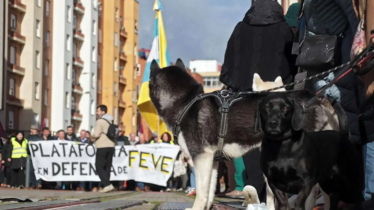La Plataforma en Defensa del Ferrocarril de V&iacute;a Estrecha (Feve) de Le&oacute;n convoca cada s&aacute;bado una manifestaci&oacute;n simb&oacute;lica para reclamar que no se entierre el trazado. | ICAL.