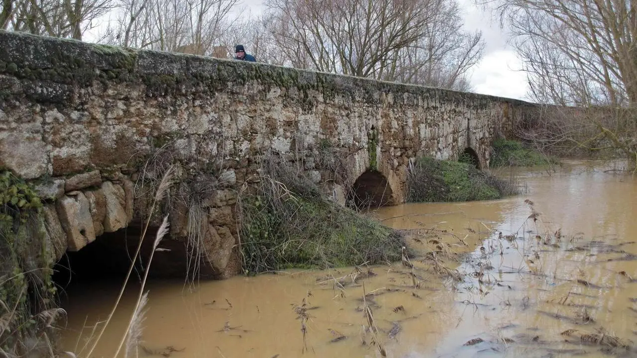 El r&iacute;o Cea desborda por Valderas (Le&oacute;n) - Peio  Garc&iacute;a