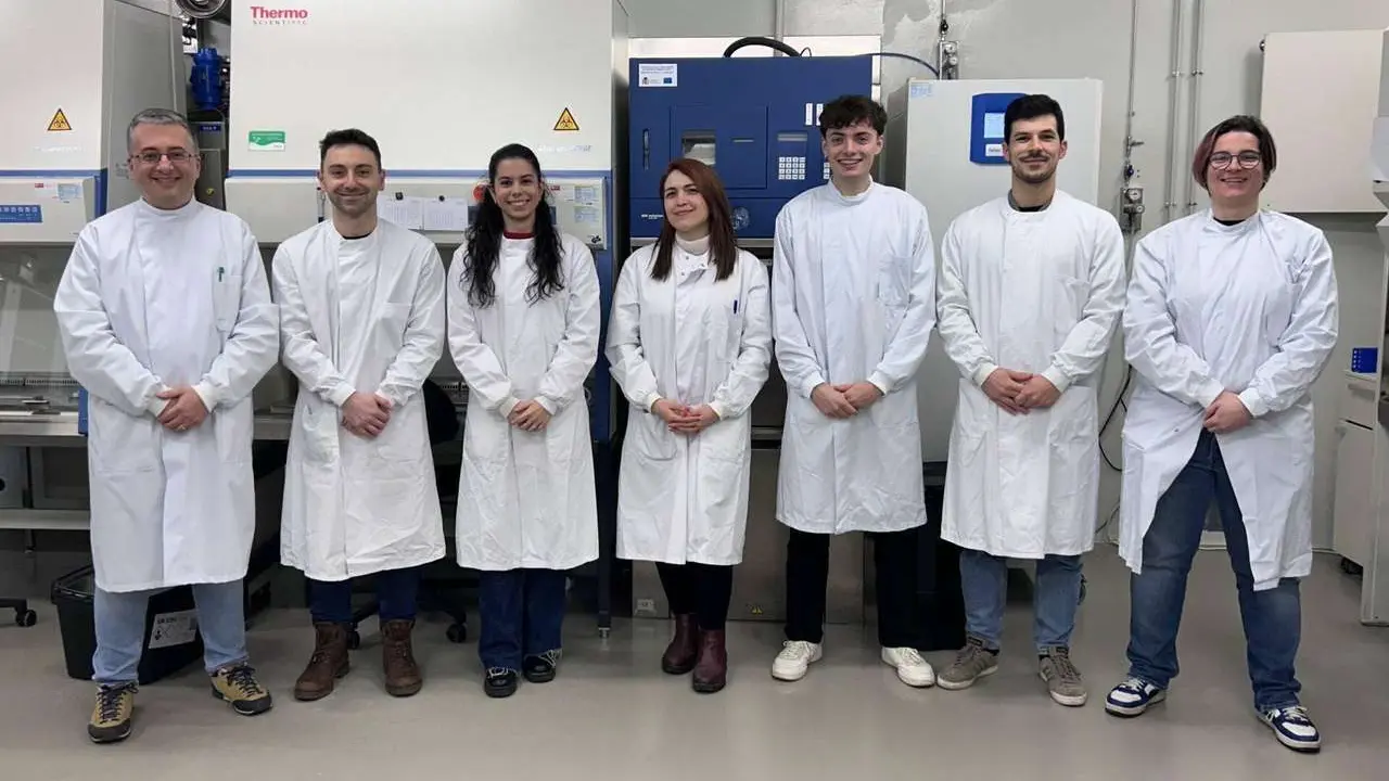 Los investigadores de la ULE Michal Letek, Pablo Casta&ntilde;era, Helena &Aacute;. Ferrero, Farzaneh Javadimarand, Sergio Fern&aacute;ndez-Mart&iacute;nez, Jes&uacute;s Llano-Verdeja y Blanca Lorente-Torres.