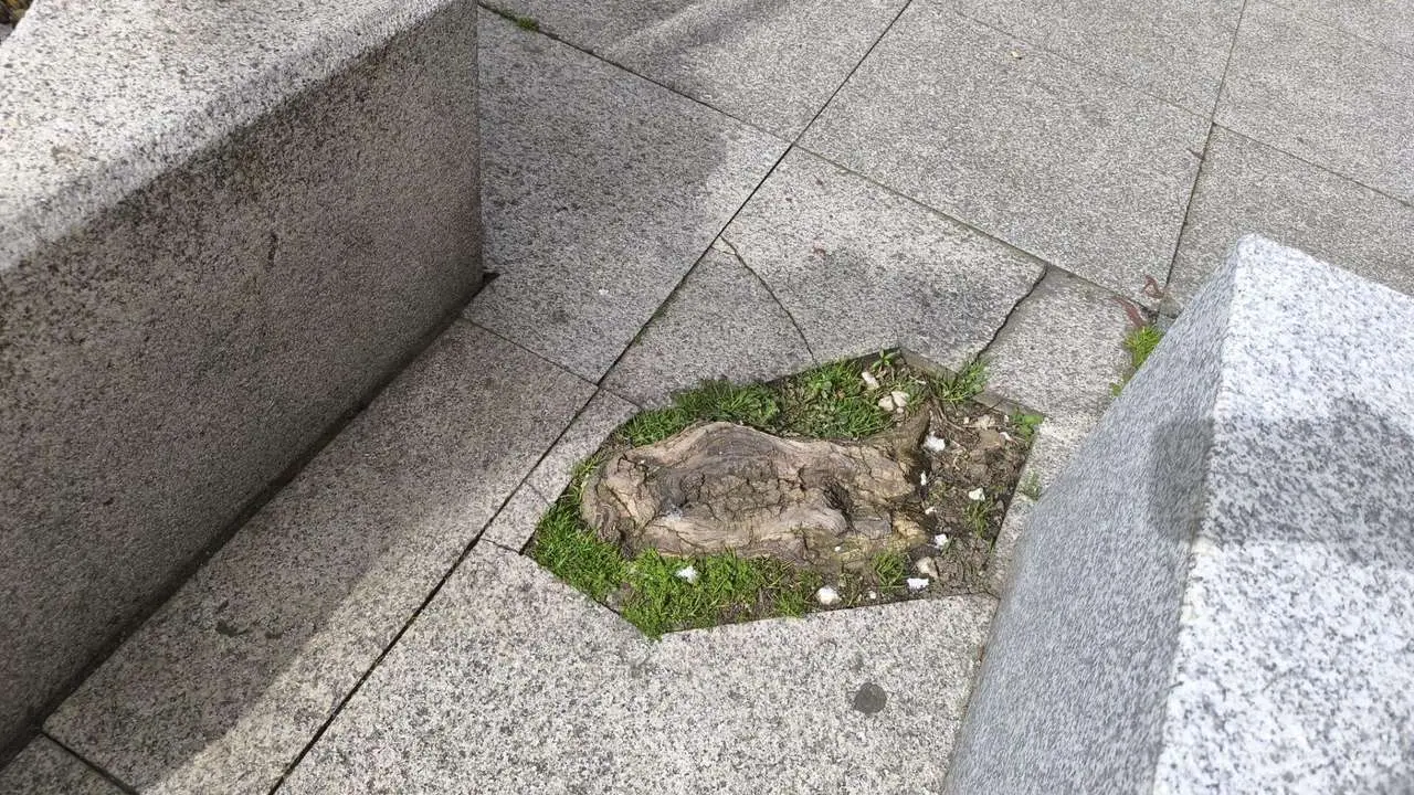 Le&oacute;n24horas