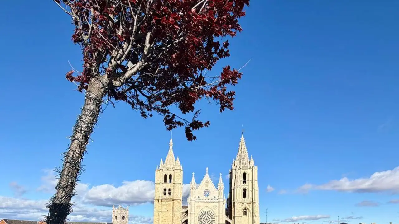 La Catedral de Le&oacute;n desde la terraza del hotel Camarote. | SM
