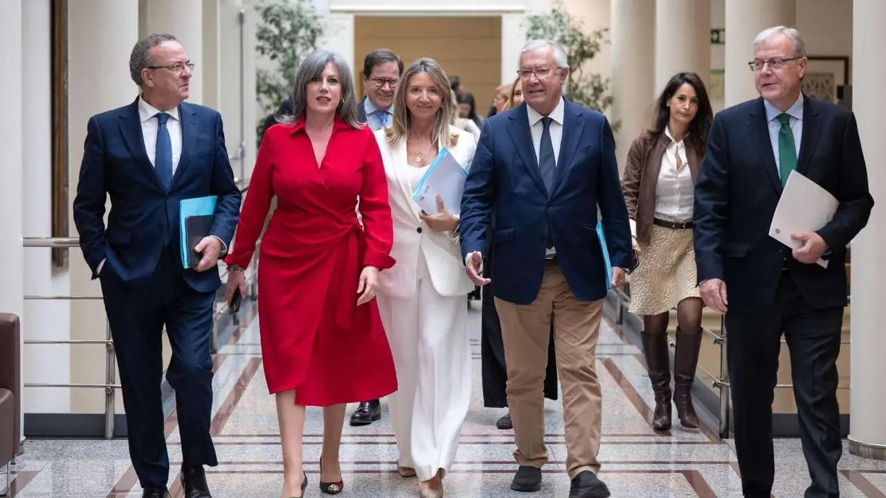 Senadores del Partido Popular, entre ellos los leoneses Asunci&oacute;n Mayo y Antonio Silv&aacute;n. | PP