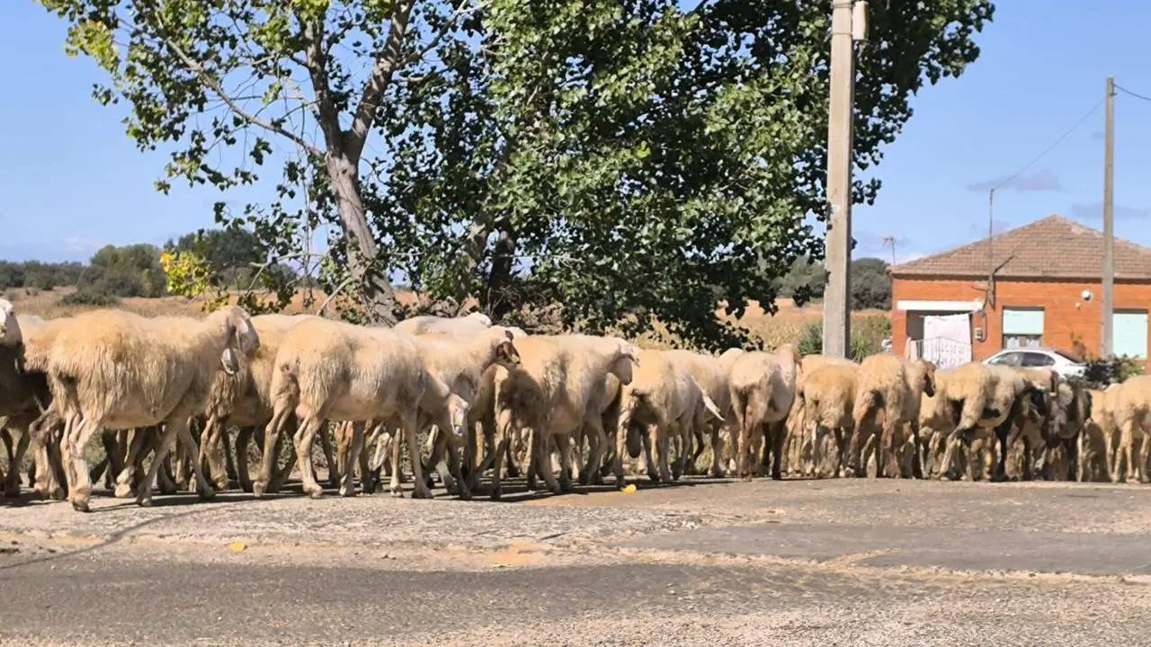 Le&oacute;n24horas