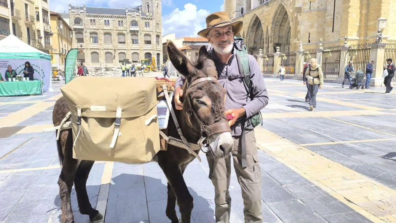 Le&oacute;n24horas