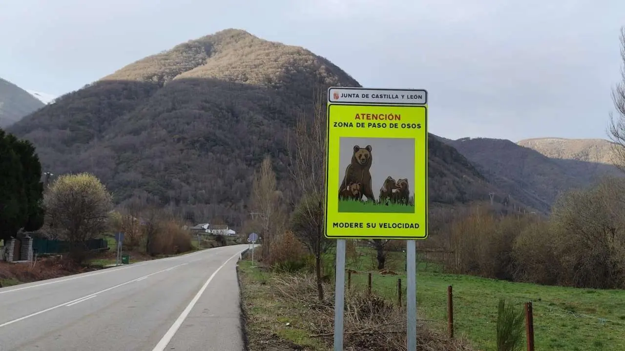 Se&ntilde;al de aviso por osos en Rabanal de Abajo (Le&oacute;n)