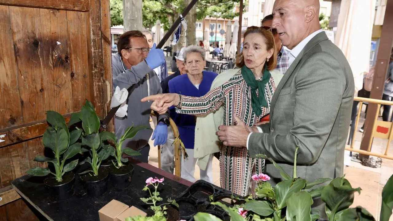 Reparto de plantas para celebrar el D&iacute;a Mundial del Medio Ambiente
