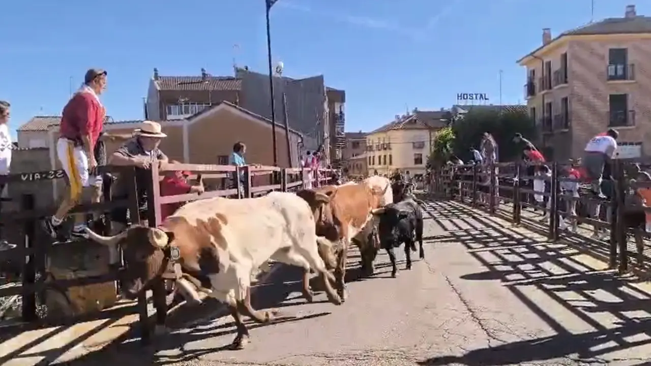 Le&oacute;n24horas