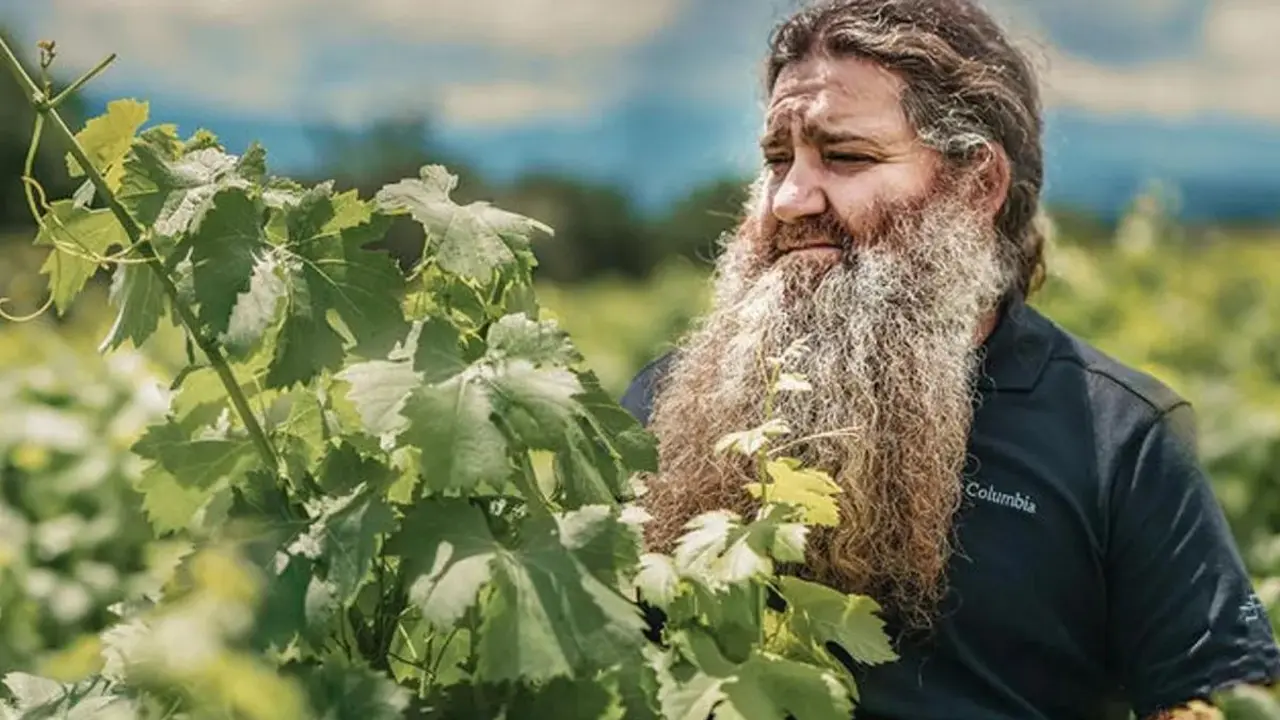 El en&oacute;logo berciano R&aacute;ul P&eacute;rez estrena 'El mago del vino'. | MEDIASET