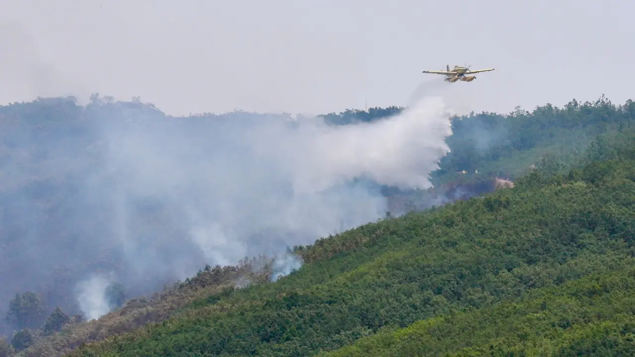 Declarado de nivel 1 un incendio forestal originado esta madrugada en Valdepi&eacute;lago (Le&oacute;n)