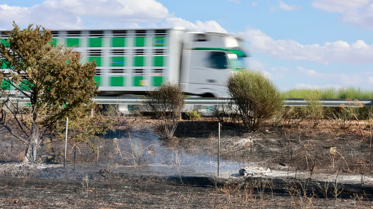 Un incendio en una cuneta de la A-231 en Santas Martas (Le&oacute;n) obliga a cortar la carretera en sentido Le&oacute;n. Campillo. Ical