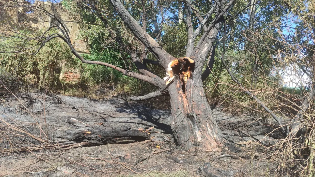 Identificados dos menores como presuntos autores de un incendio en San Andr&eacute;s del Rabanedo (Le&oacute;n)