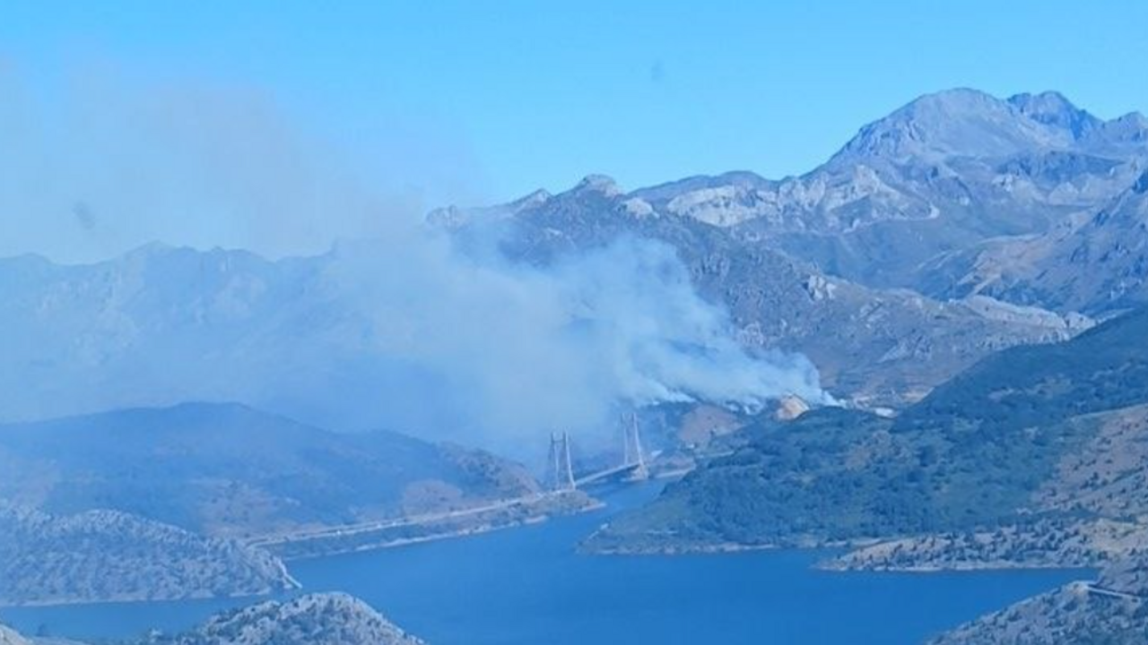 Incendio de Sena de Luna (2)