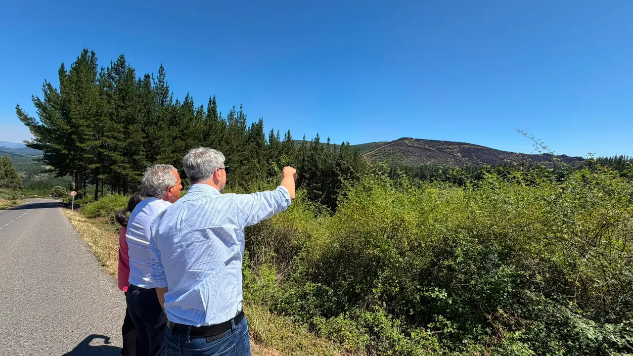 Nicanor Sen visita el incendio de Vega de Espinareda