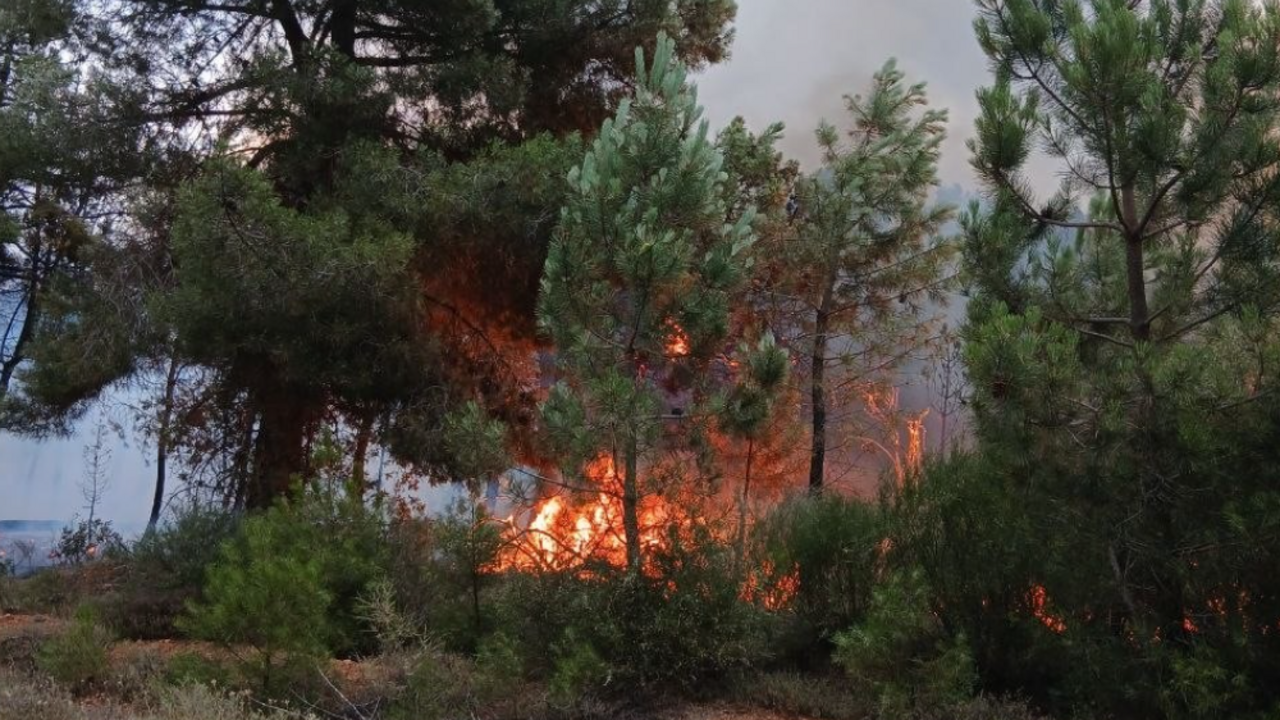 Incendio forestal en Porqueros