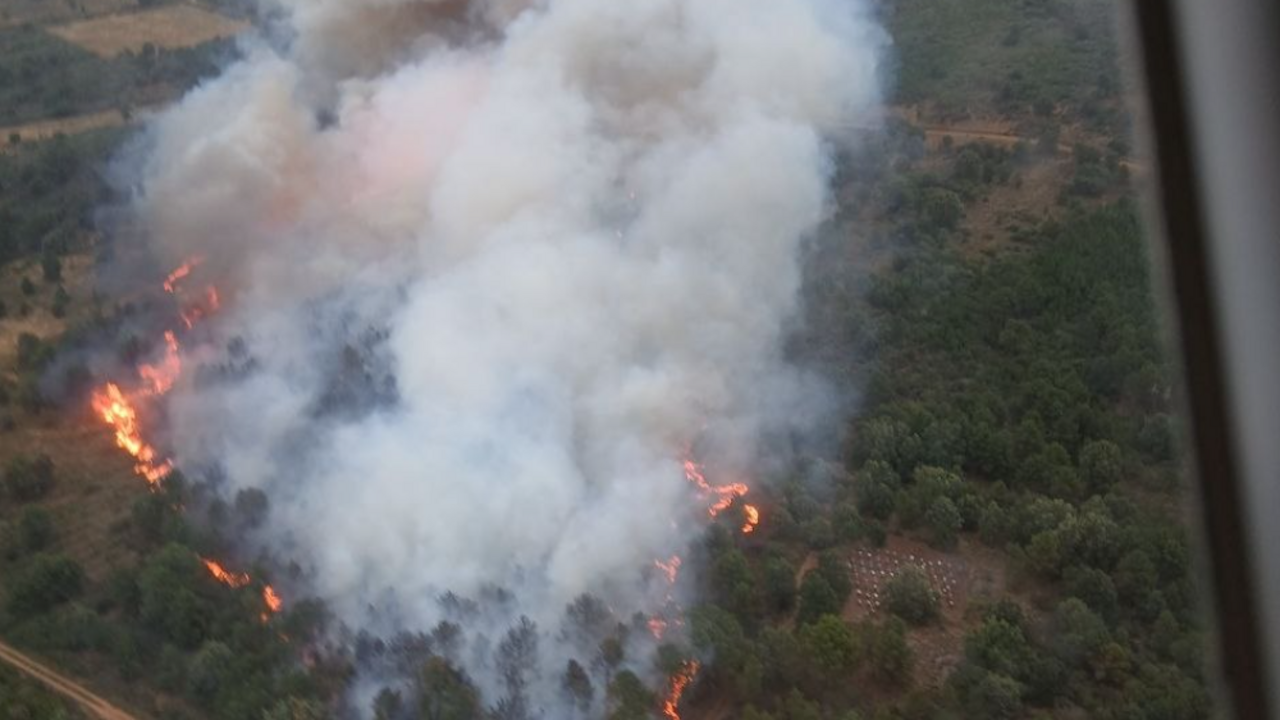 Incendio forestal en Porqueros (2)
