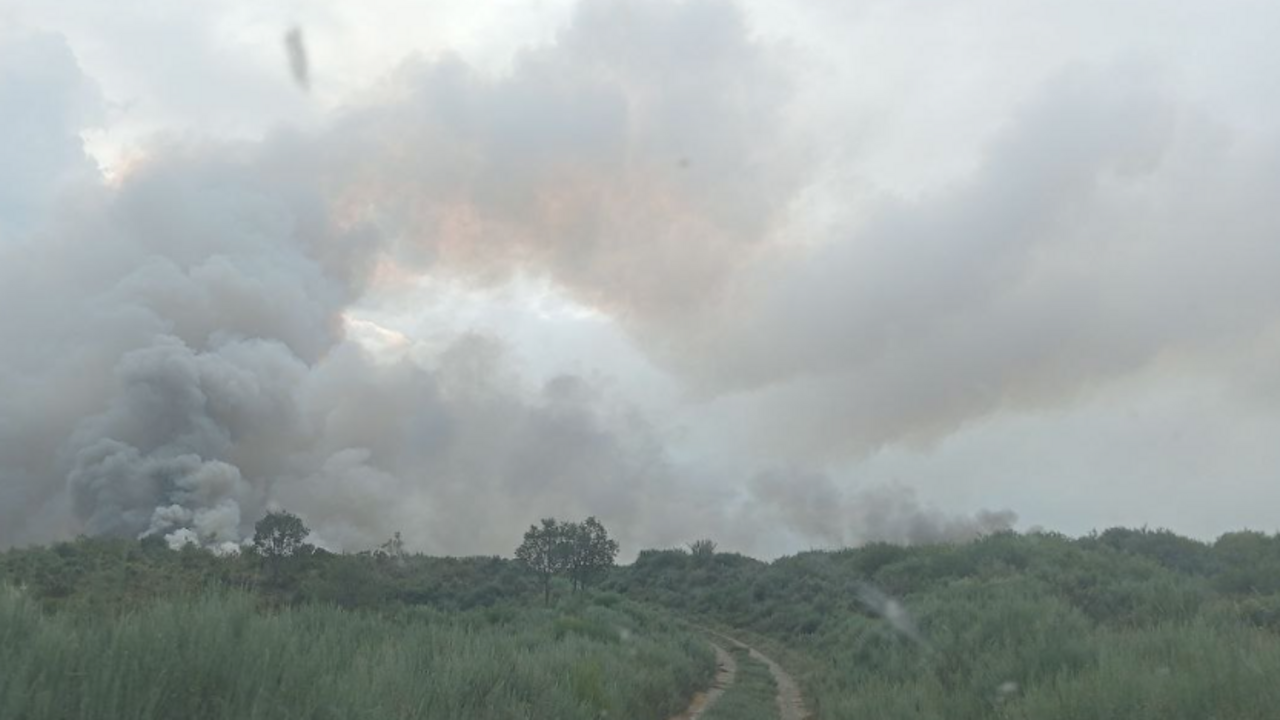 Incendio Espina de Tremor