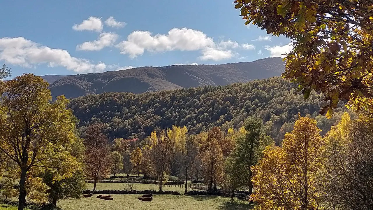 Sosas de Laciana - SIPAM