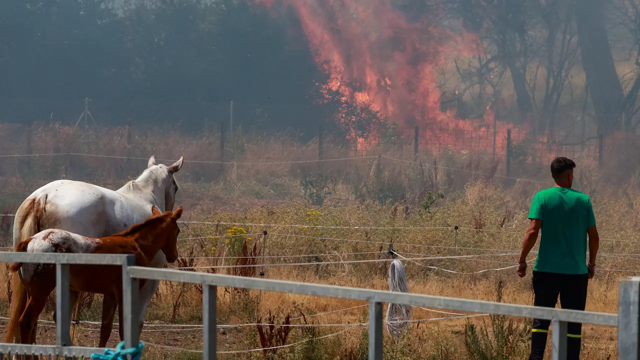 Incendio de nivel dos en Navatejera (Le&oacute;n)