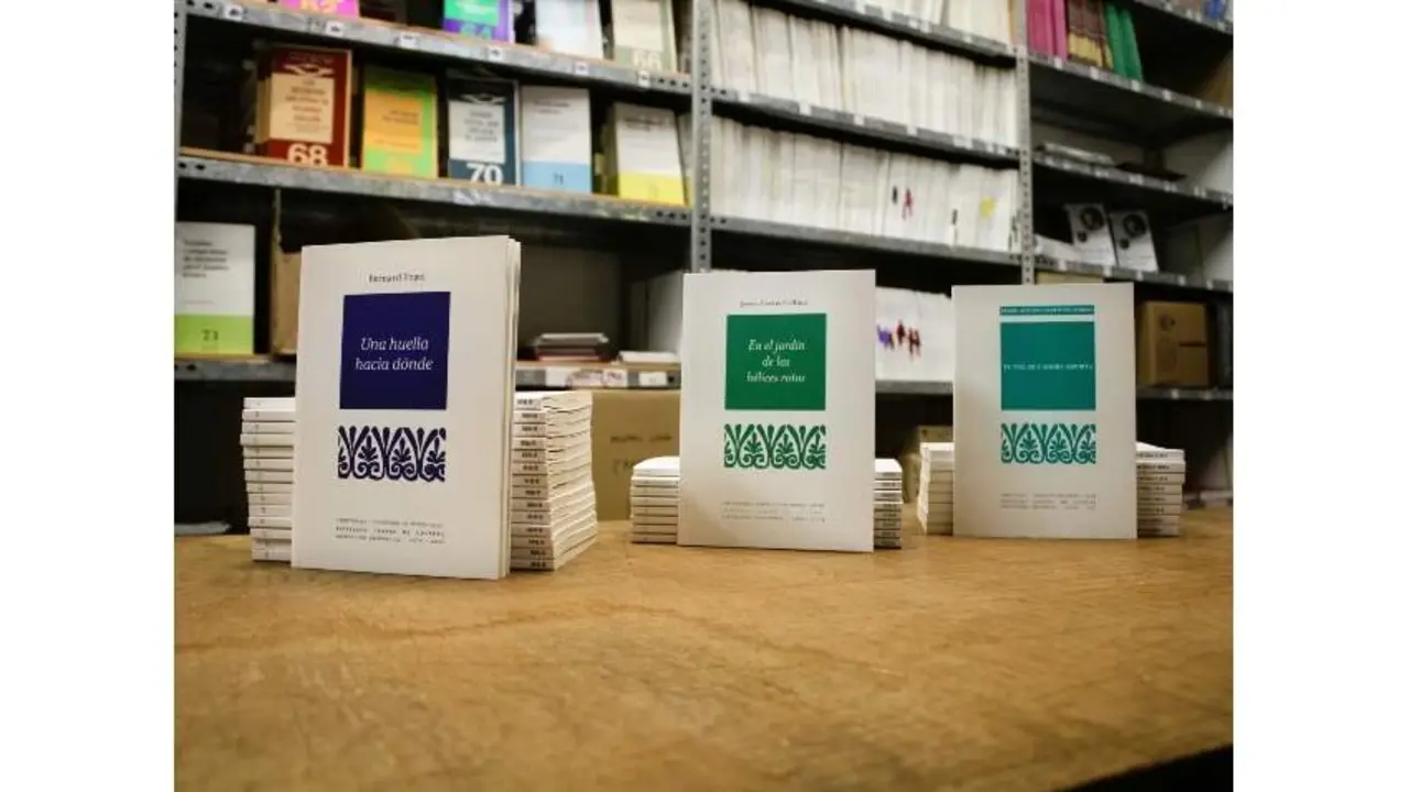 Libros Bienal Provincia